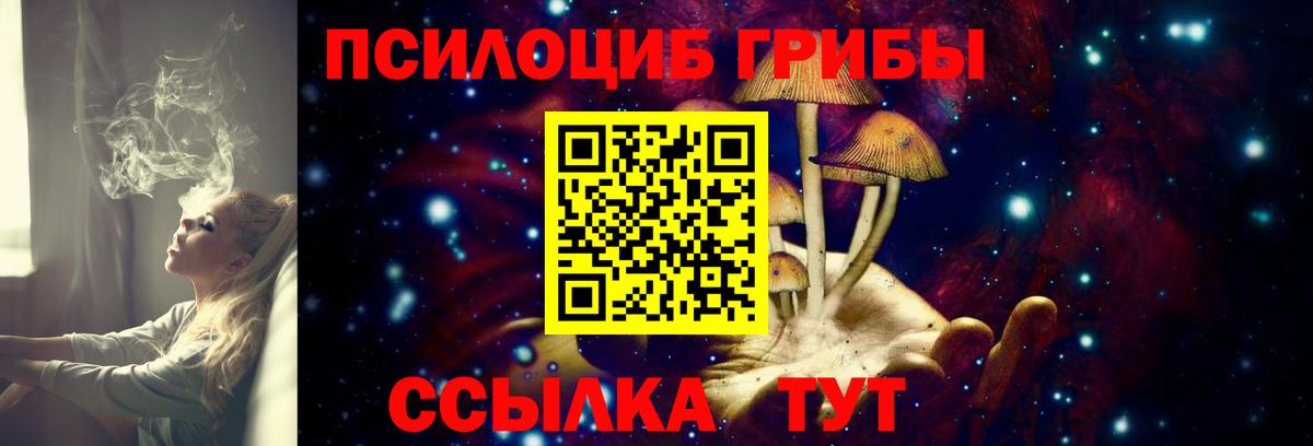 Воскресенск  Псилоцибиновые грибы Magic Shrooms  купить наркотики цена  Галлюциногенные грибы GOLDEN TEACHER  Вход с VPN 